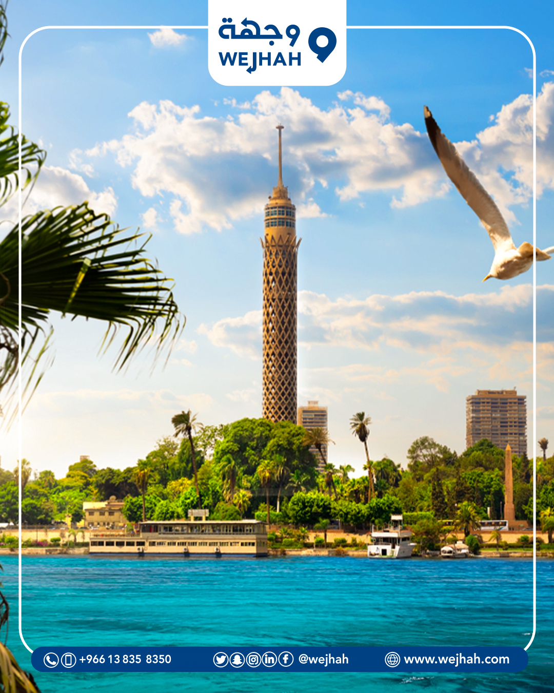 القاهرة 4800 — صورة 1 من 3